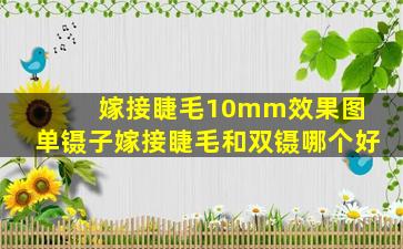 嫁接睫毛10mm效果图 单镊子嫁接睫毛和双镊哪个好